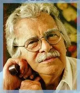 darcy ribeiro literatura