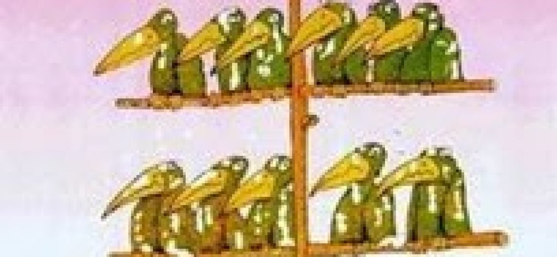 Estrutura social