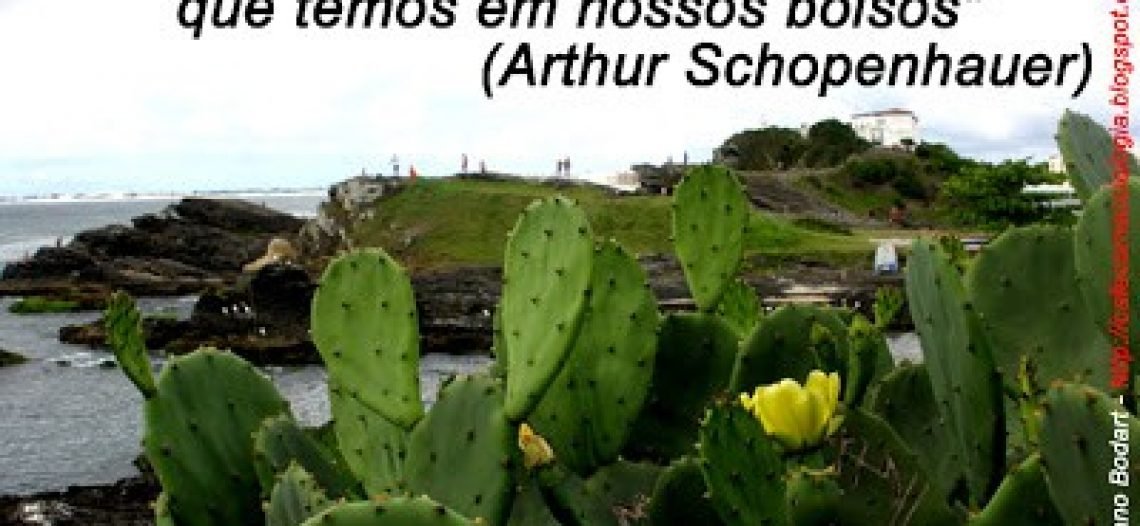Arthur Schopenhauer