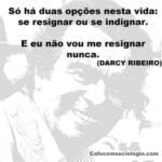 Frase para compartilhar no facebook 6 Darcy Ribeirofad