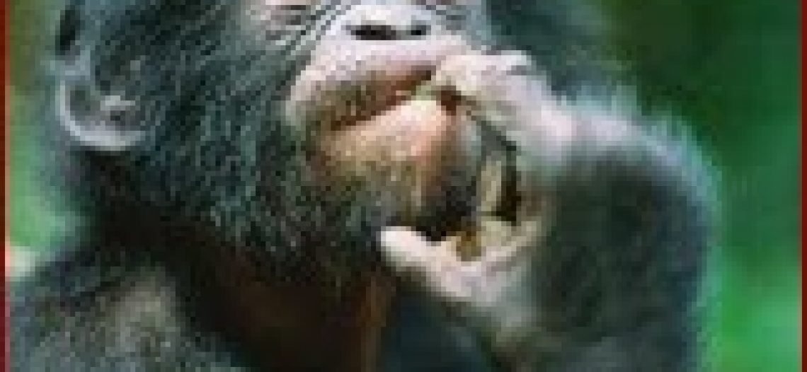 Ciências Humanas, para que tê-las?*