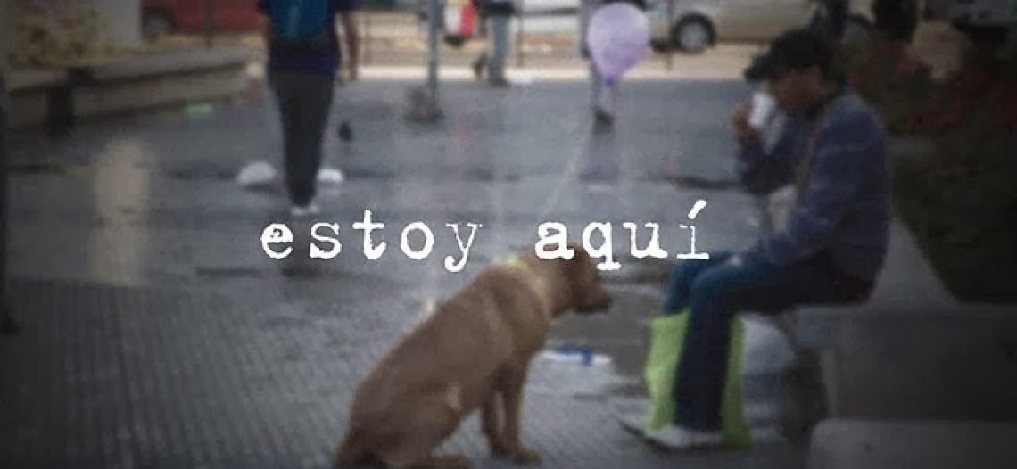 Dica de Vídeo: Direitos dos animais