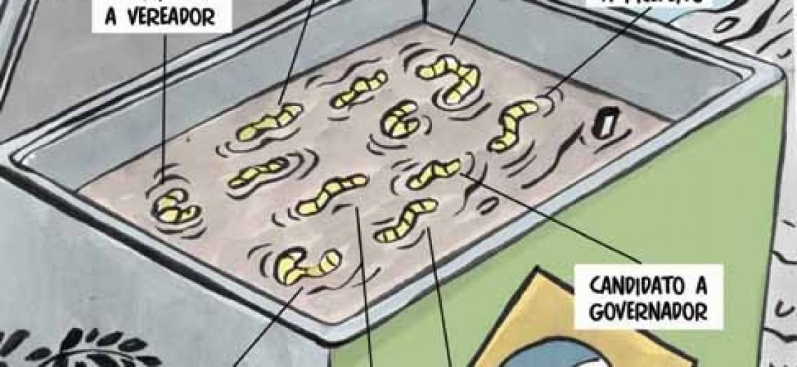 Por que devemos ter cuidado com o bairrismo e com os mosquitos?