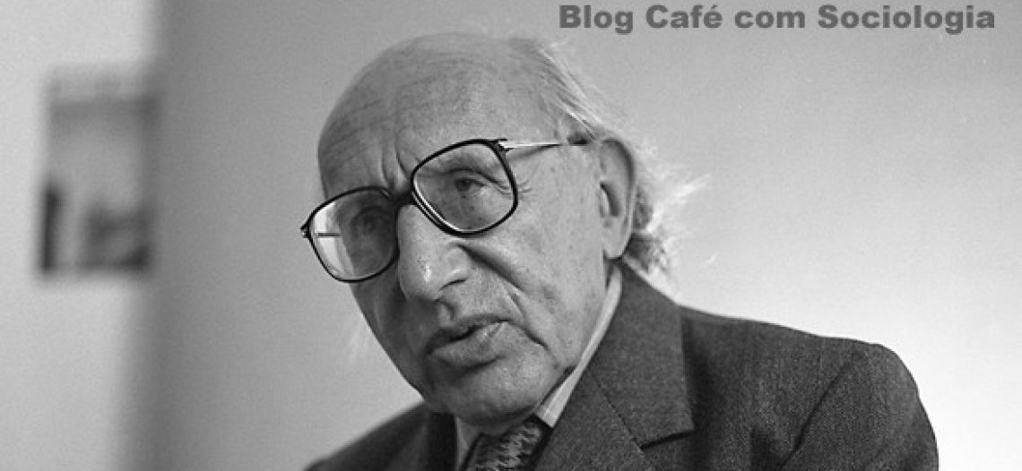 A biografia no campo da Sociologia: contribuições de Norbert Elias