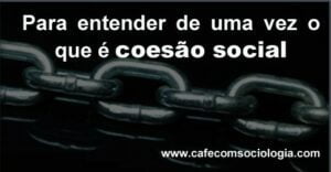 conceito de coesão social
