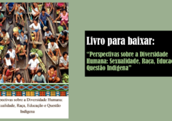 Livro para baixar: “Perspectivas sobre a Diversidade Humana: Sexualidade, Raça, Educação e Questão Indígena”