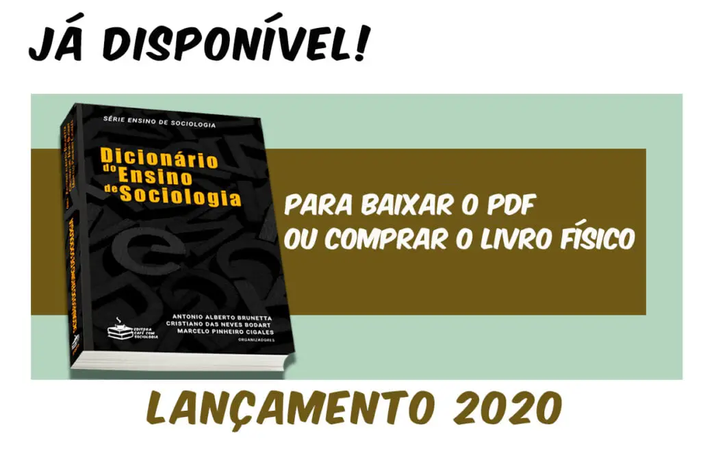 PDF) Dicionario do Ensino de Sociologia