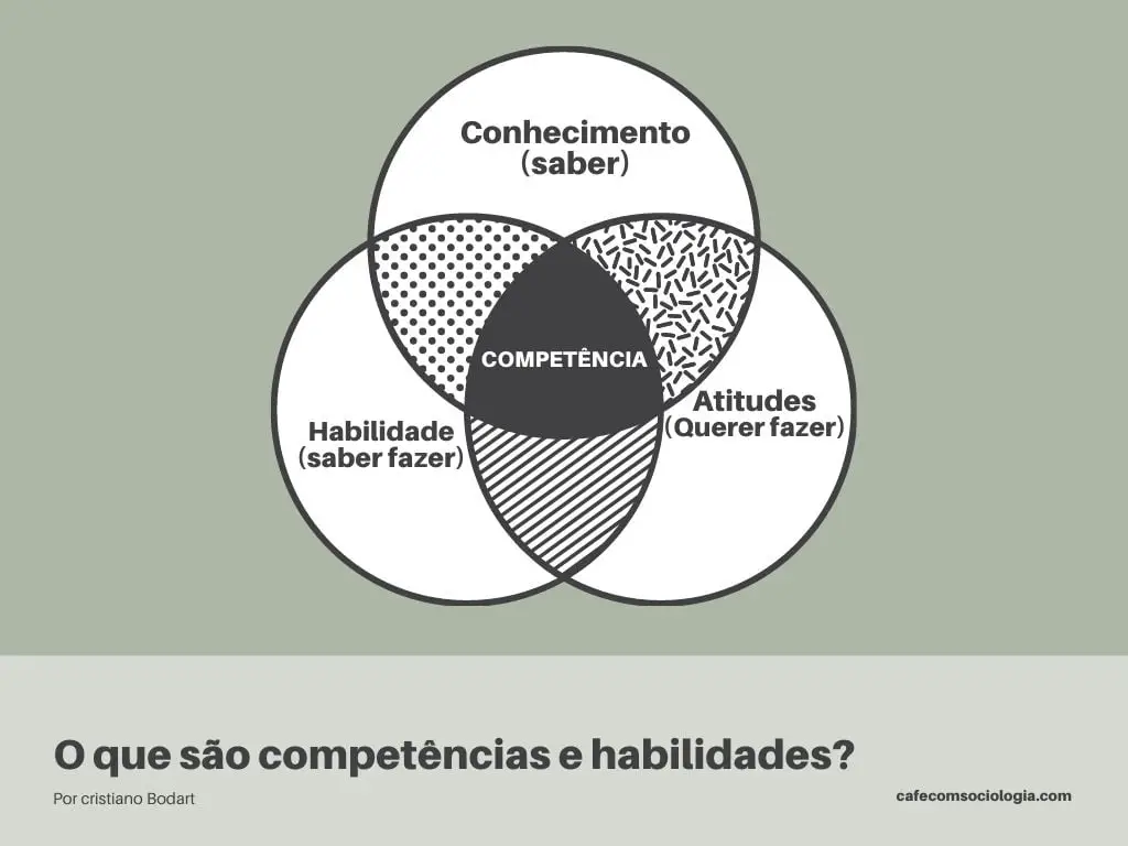 competências e habilidades