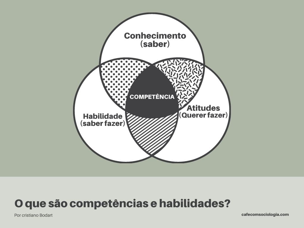 Compet Ncias E Habilidades Da Bncc E O Ensino De Sociologia