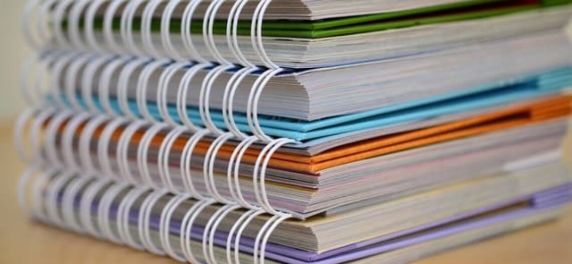 Currículo de Sociologia – Orientações didáticas Oficiais – OCNs, PCNs etc