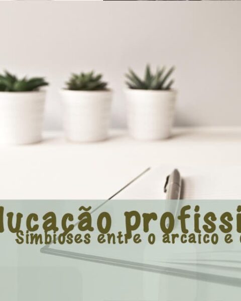 educação profissional no brasil