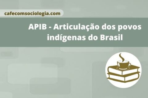 Api B APIB - Articulação dos Povos Indígenas do Brasil