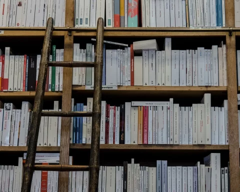 revistas internacionais sociologia