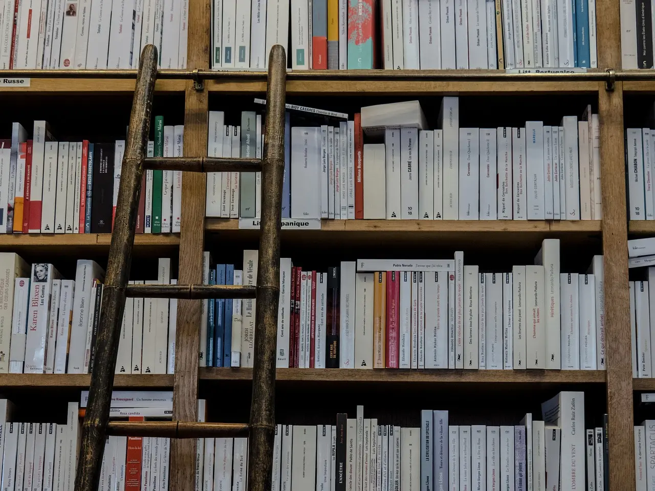 revistas internacionais sociologia