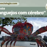 caranguejos com cérebro