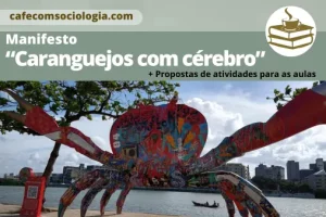 caranguejos com cérebro