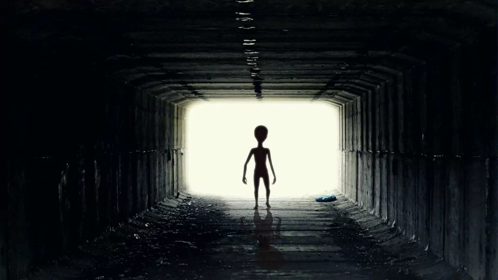 alienação